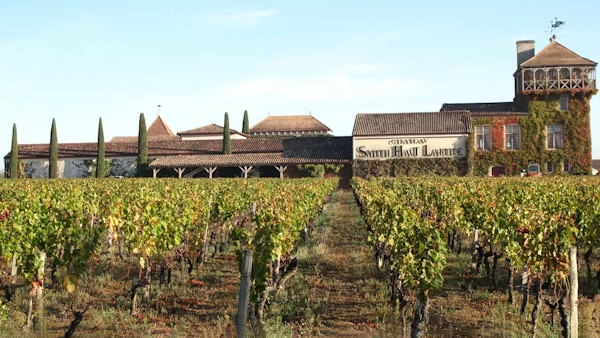 Château Smith-Haut-Lafitte