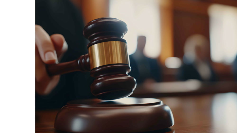 Der teuerste Cabernet der Welt