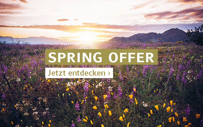 Spring Offer
