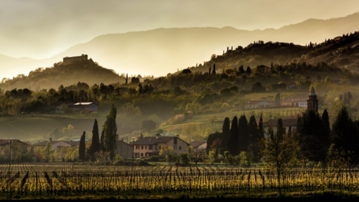 Herbst, Italien, Food, Pairing, Geschmackserlebnis