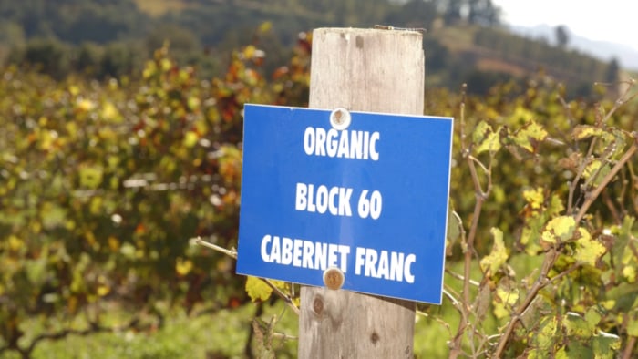 &ouml;kologischer Anbau, Umweltschutz, Terroircharakter, Biowein, Biodynamischer Weinbau