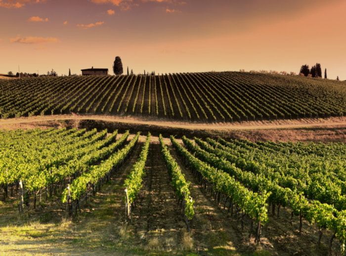 Herbst, Food, Pairing, Rotwein, Solaris