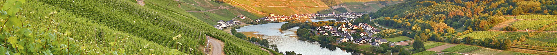 Weingut Heinrichshof