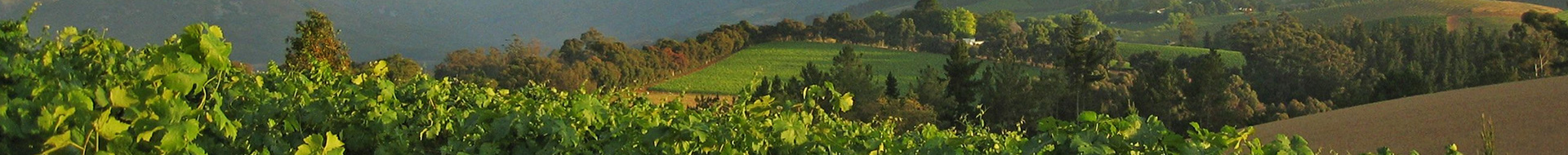 Wildeberg Wines