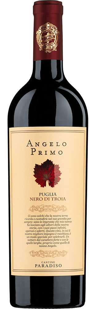 2023 Angelo Primo Nero di Troia Puglia IGP Cantine Paradiso