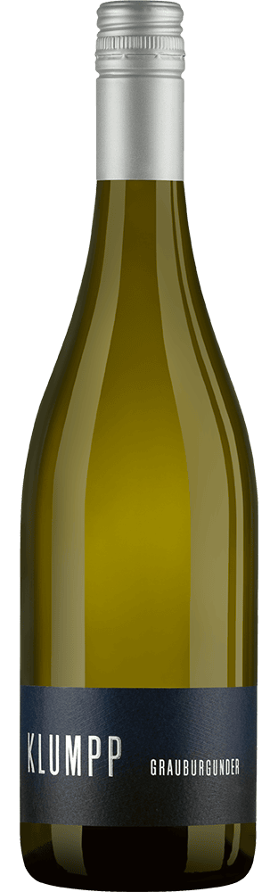 2024 Grauburgunder trocken Baden Weingut Klumpp (Bio)