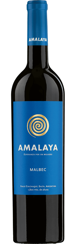 2023 Malbec Amalaya Valle Calchaquí Bodega Amalaya
