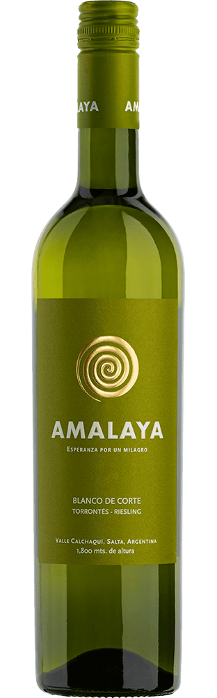 2025 Blanco de Corte Valle Calchaquí Bodega Amalaya