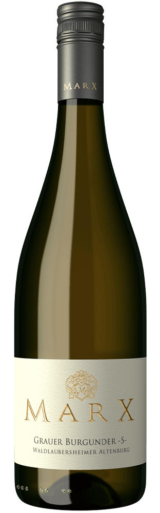 2024 Grauer Burgunder S trocken Waldlaubersheimer Altenburg Weingut Marx