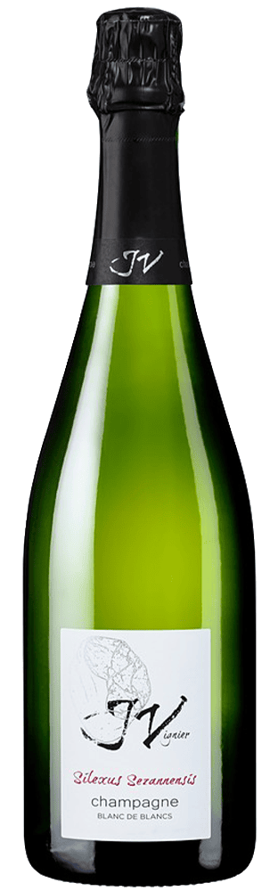 Champagne Silexus Sezannensis Blanc de Blancs Extra Brut J. Vignier