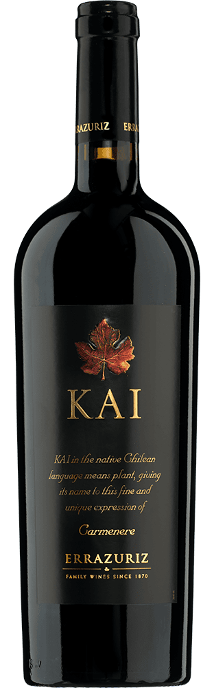 2016年KAI ERRAZURIZ 1310_11.png