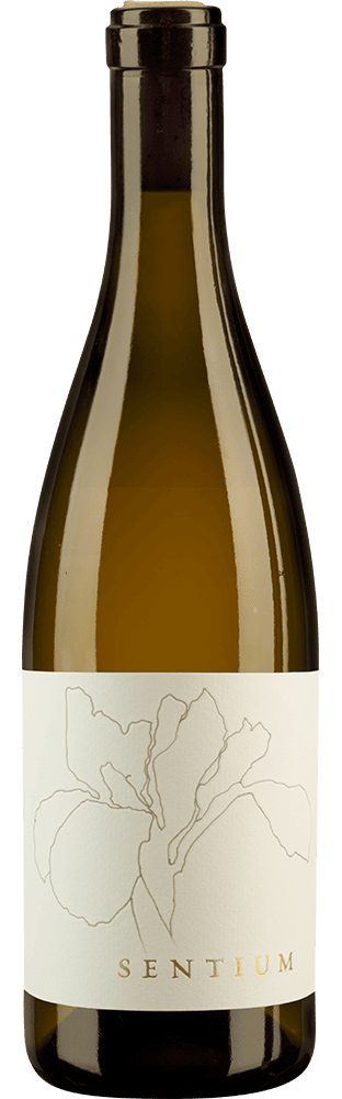 2022 Sentium Sauvignon Blanc Mendocino Sentium Wines
