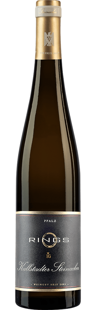 2023 Spätburgunder 1G VDP.Erste Lage Kallstadter Steinacker Weingut Rings (Bio)