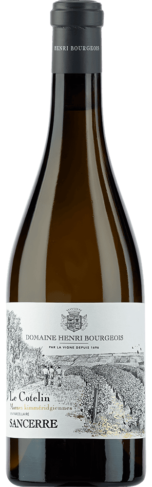 2022 Le Cotelin Sancerre AOC Parcelles de Marnes Kimméridgiennes Henri Bourgeois