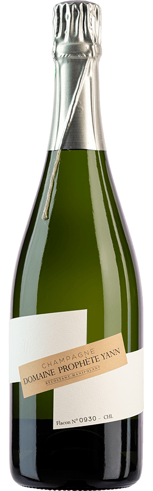 2011 Champagne Blanc de Blancs Brut Nature Domaine Yann Prophète
