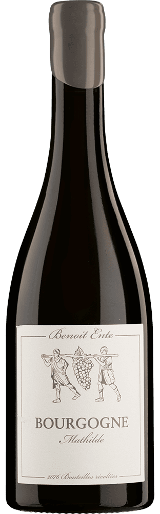 2021 Bourgogne AOC Mathilde Benoît Ente