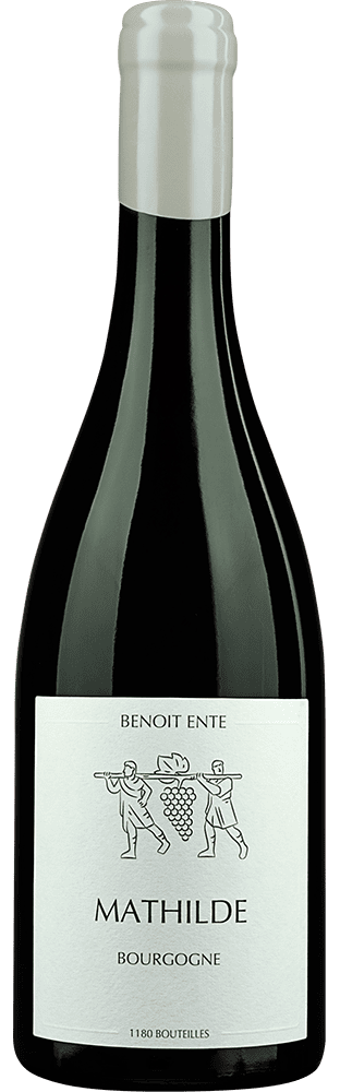 2023 Bourgogne AOC Mathilde Benoît Ente