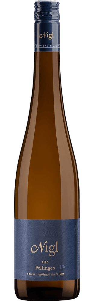 2021 Grüner Veltliner Privat Ried Pellingen Weingut Nigl