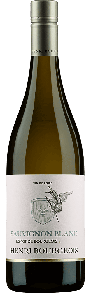 2023 Esprit de Bourgeois Sauvignon Blanc VdP du Val de Loire IGP Henri Bourgeois