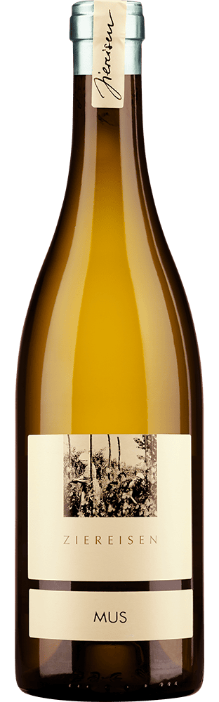 2022 Grauburgunder MUS Weingut Ziereisen