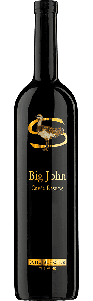 2023 Big John Cuvée Reserve Burgenland Scheiblhofer - The Wine