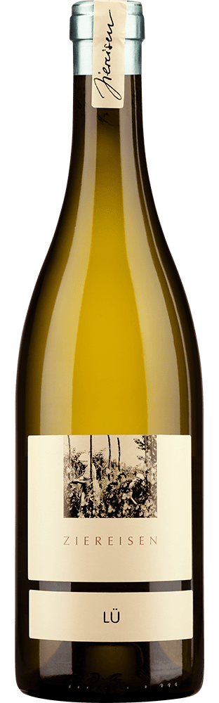 2022 Weisser Burgunder Lügle Weingut Ziereisen
