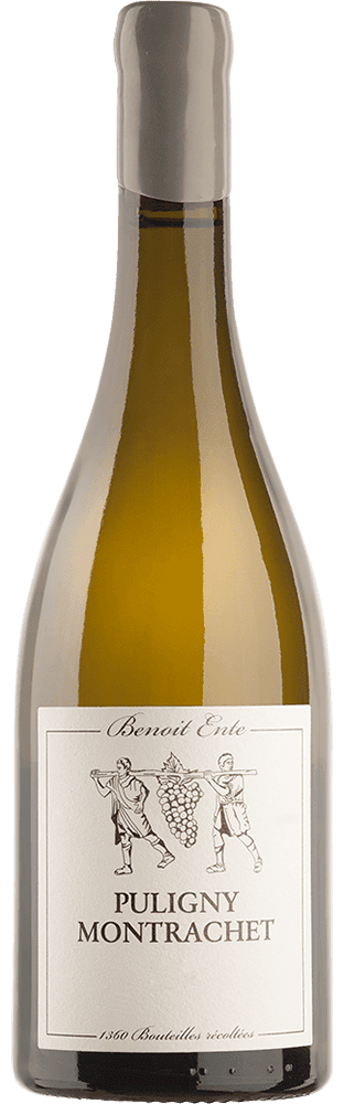 Puligny-Montrachet AOC Benoît Ente | Mövenpick Wein Shop