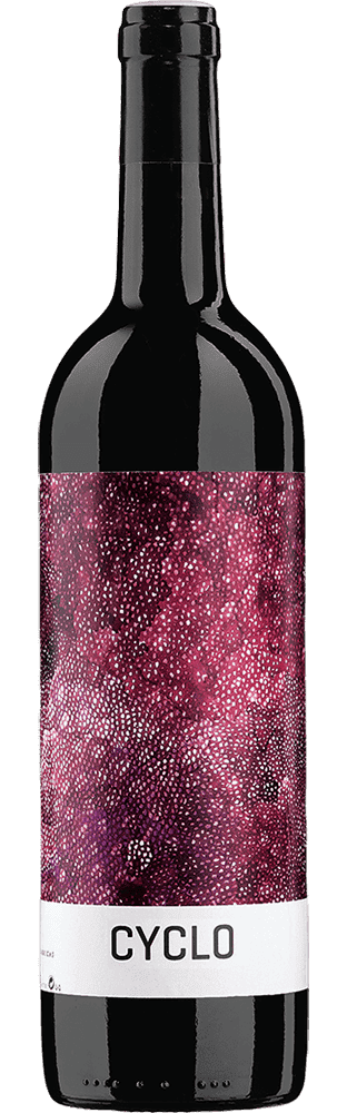 2021 Cyclo Ribera del Duero DO Finca Torremilanos Bodegas Peñalba Lopez (Biodynamisch)