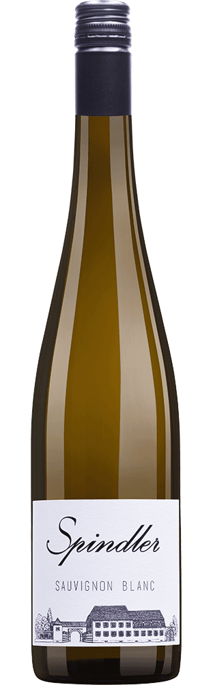 2023 Sauvignon Blanc trocken Pfalz Weingut Spindler