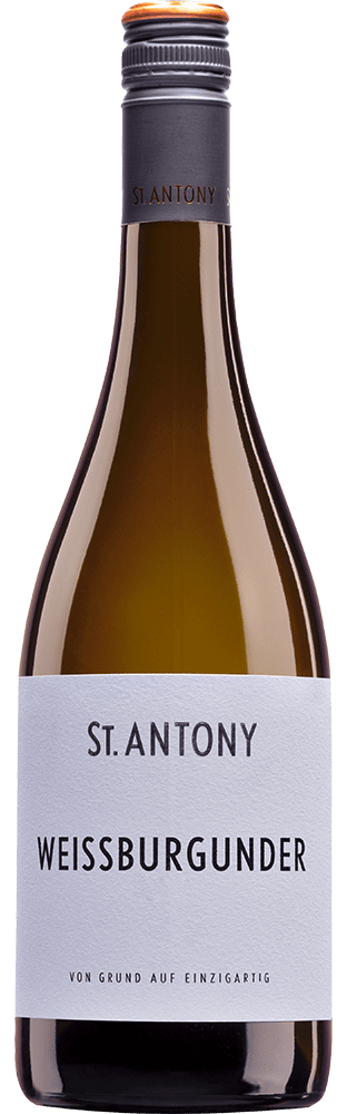 2025 Weissburgunder trocken VDP.Gutswein Weingut St. Antony (Bio)