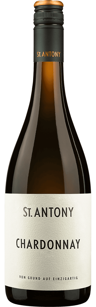 2025 Chardonnay trocken VDP.Gutswein Weingut St. Antony (Bio)