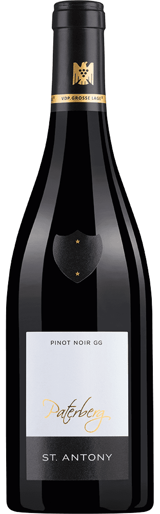2018 Pinot Noir VDP.Grosses Gewächs Nierstein Paterberg Weingut St. Antony (Biodynamisch)