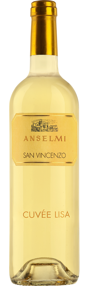 2022 San Vincenzo Lisa Anselmi Bianco Veneto IGP | Mövenpick Wein Shop