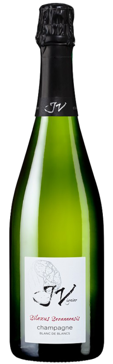 Champagne Silexus Sezannensis Blanc de Blancs Extra Brut J. Vignier 750.00