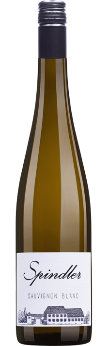 2022 Sauvignon Blanc trocken Pfalz Weingut Spindler (Bio) 750.00