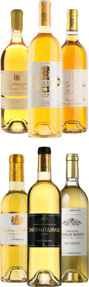 2025 Sauternes Collection 2025 1 bt 75 cl de Doisy-Daëne, Guiraud, Sigalas Rabaud, Suduiraut, Extravagant Doisy, Coutet