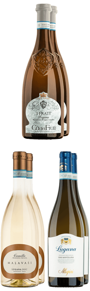 Tasting Box Lugana DE 4500