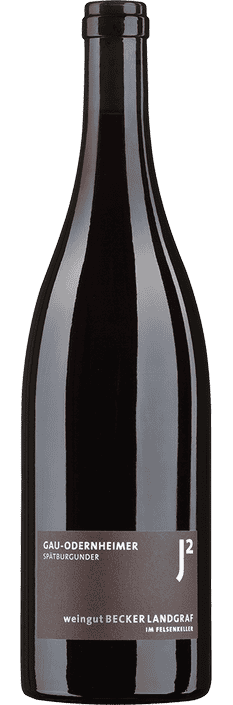 2023 Spätburgunder Gau-Odernheimer Weingut Becker-Landgraf (Bio)