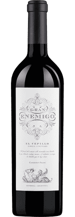 2020 Cabernet Franc Gran Enemigo El Cepillo Single Vineyard - Mendoza Adrianna Catena & Alejandro Vigil Puerto Ancona