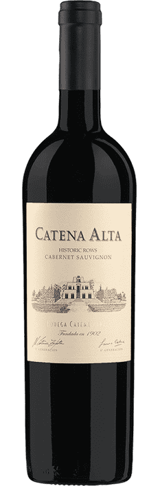 2020 Cabernet Sauvignon Catena Alta Mendoza Bodega y Viñedos Catena