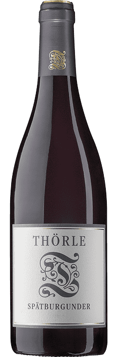 2023 Spätburgunder trocken Gutswein Rheinhessen Weingut Thörle (Bio)