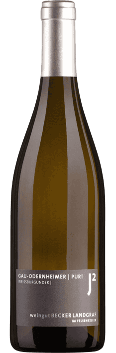 2023 Weissburgunder Pur! trocken Gau-Odernheimer Weingut Becker-Landgraf (Bio)