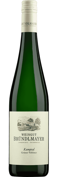 2022 Grüner Veltliner Kamptal DAC Selektion Mövenpick Weingut Bründlmayer (Bio)