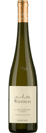 2023 Grüner Veltliner Nussberg Ried Preussen 1ÖTW Weingut Wieninger (Bio)