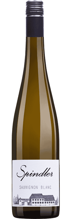 2022 Sauvignon Blanc trocken Pfalz Weingut Spindler (Bio)
