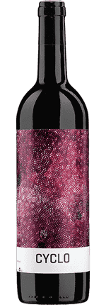 2021 Cyclo Ribera del Duero DO Finca Torremilanos Bodegas Peñalba Lopez (Biodynamisch)