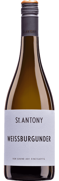 2024 Weissburgunder trocken VDP.Gutswein Weingut St. Antony (Bio)