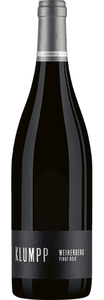 2022 Pinot Noir trocken Weiherberg Weingut Klumpp (Bio)