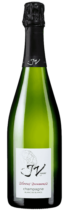 Champagne Silexus Sezannensis Blanc de Blancs Extra Brut J. Vignier