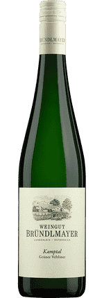 2024 Grüner Veltliner Kamptal DAC Selektion Mövenpick Weingut Bründlmayer (Bio)